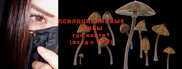 скорость mdpv Вяземский