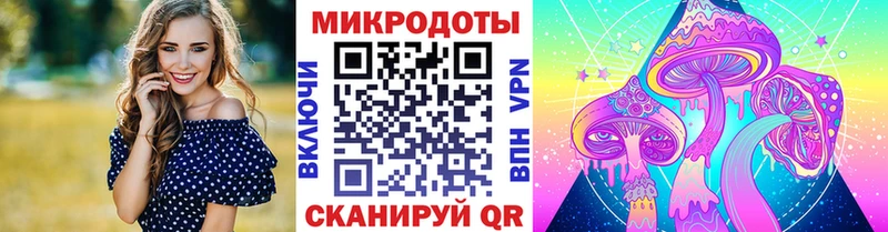 Галлюциногенные грибы Psilocybe  Норильск 